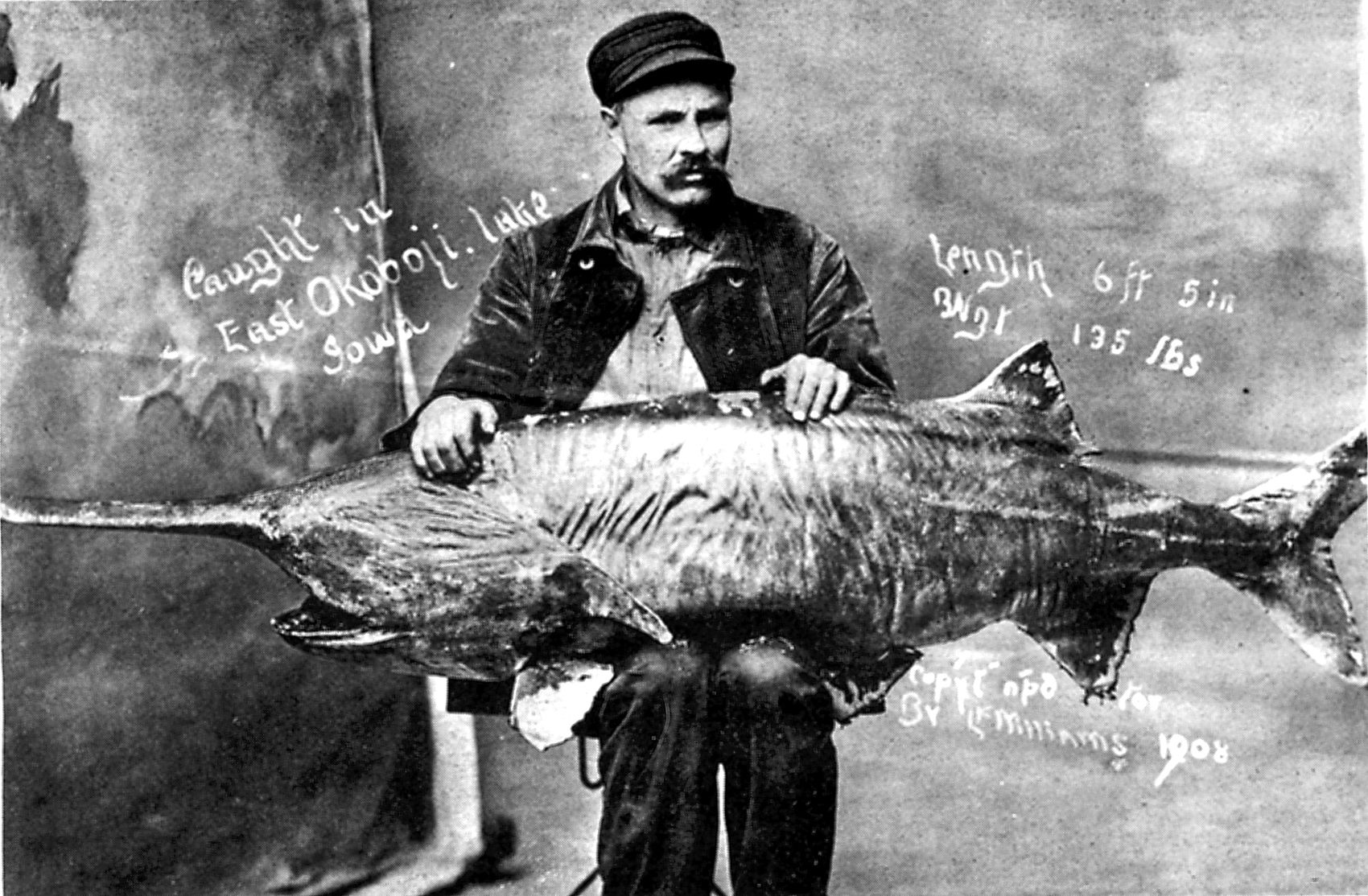 Lake Monsters